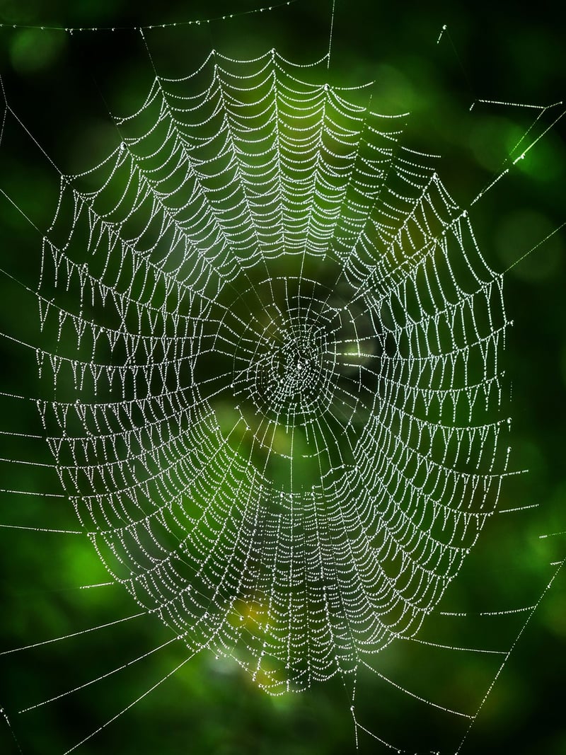 Professional Network Image